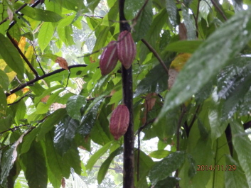 photo 1256536