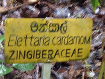 photo 1256541