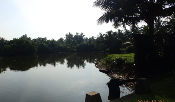 PC041608