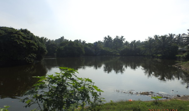 PC041607
