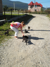 photo 1259010