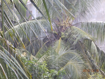 photo 1261428