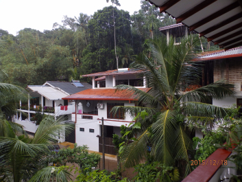 photo 1261430