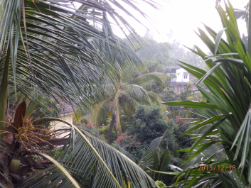 photo 1261436