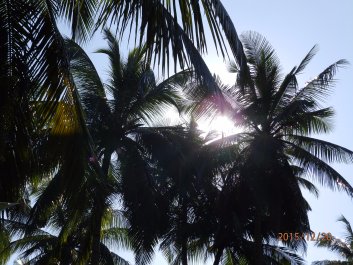 photo 1262298