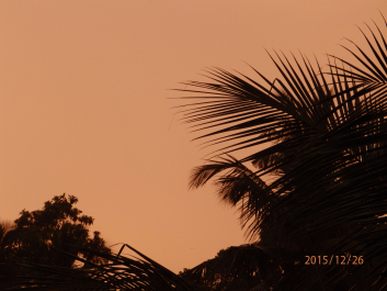 photo 1268503