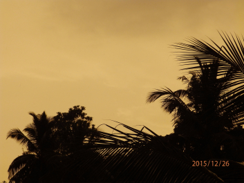 photo 1268521