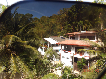 photo 1272478