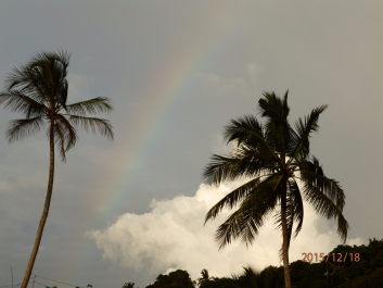 photo 1261663