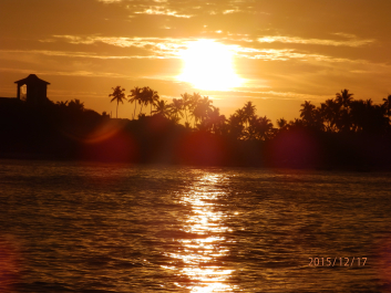 photo 1260014