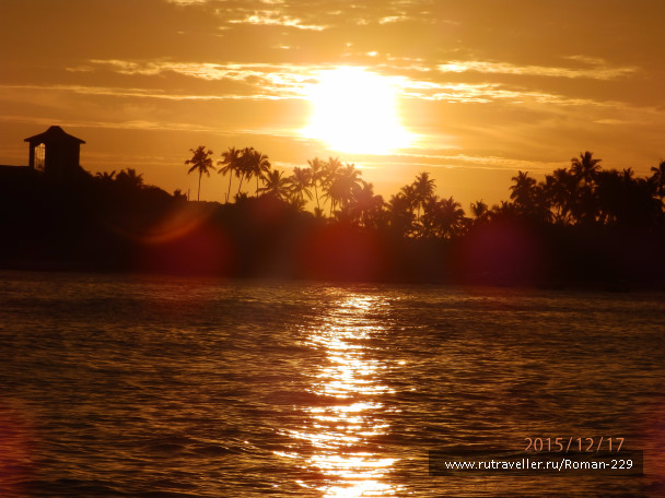 photo 1260014