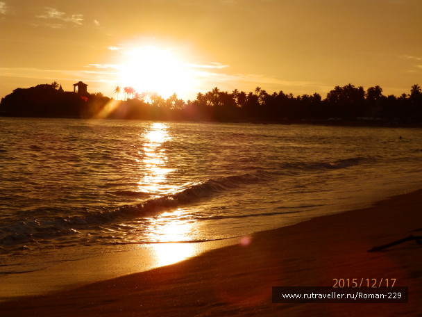 photo 1260015