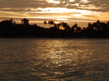 photo 1260016