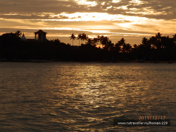 photo 1260016