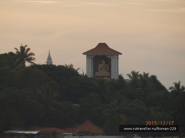 photo 1260018