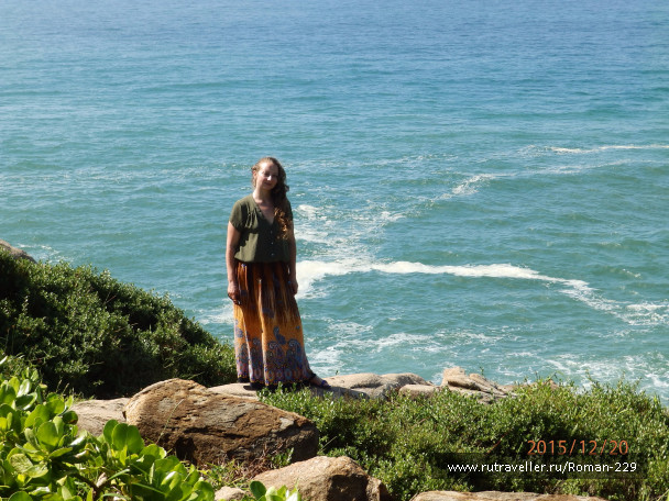 photo 1262323
