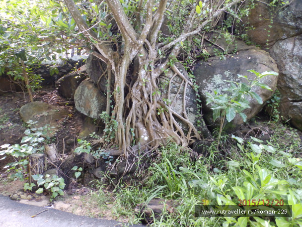 photo 1262324