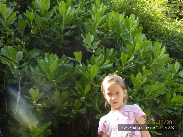 photo 1262326