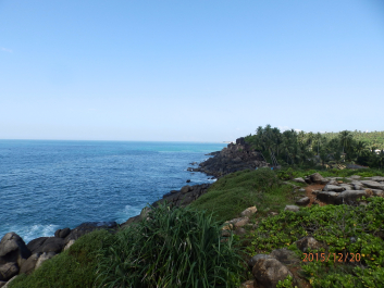 photo 1262333