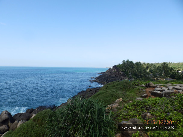 photo 1262333
