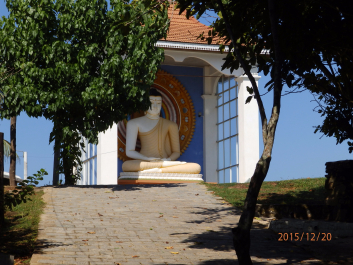 photo 1262339