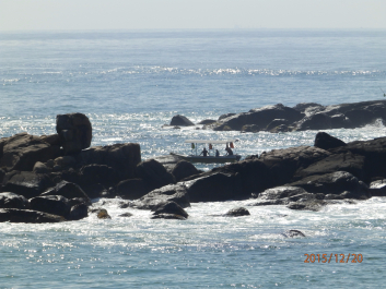 photo 1262340