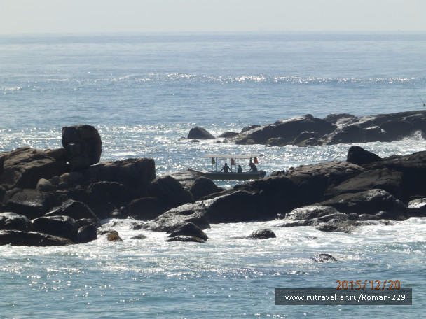 photo 1262340