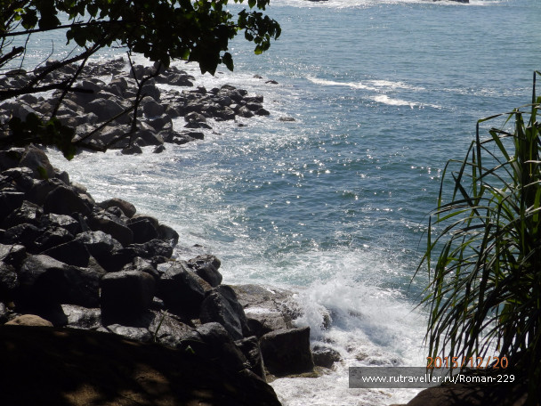 photo 1262341