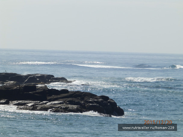 photo 1262342