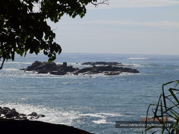 photo 1262343
