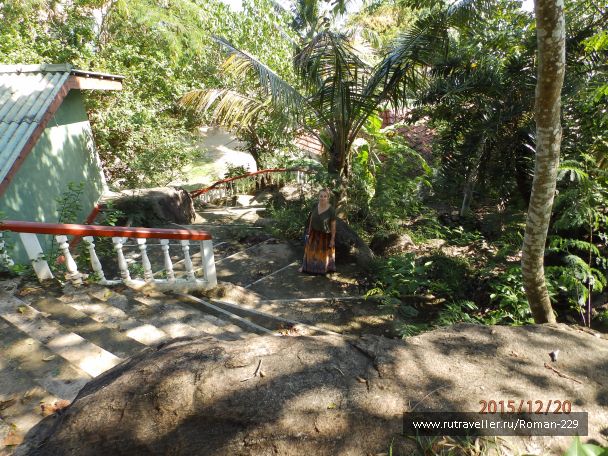 photo 1262345