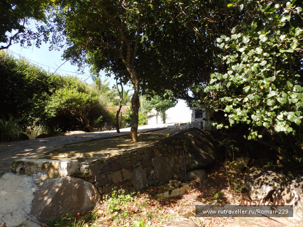 photo 1262346