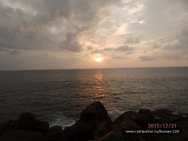 photo 1262524