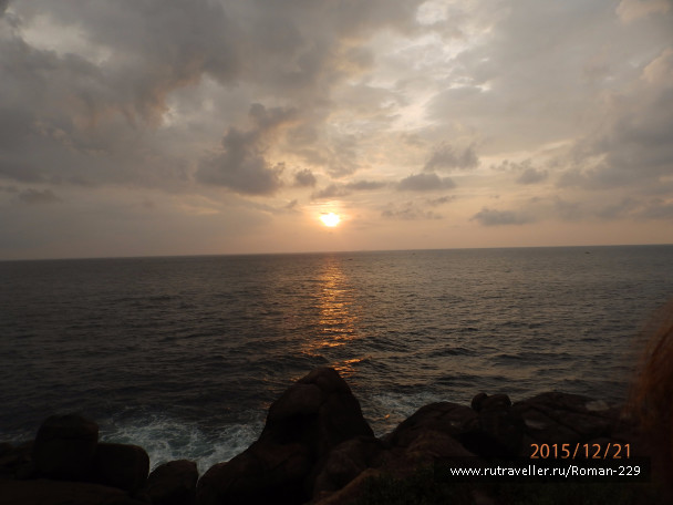 photo 1262527