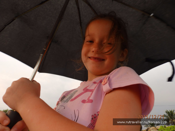 photo 1262528