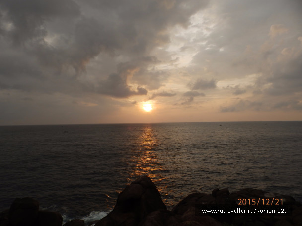 photo 1262530