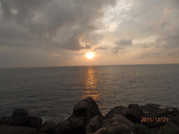 photo 1262531