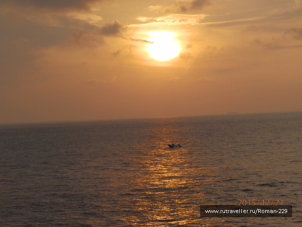 photo 1262533