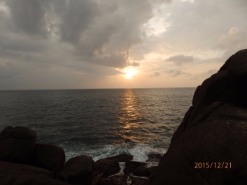 photo 1262537