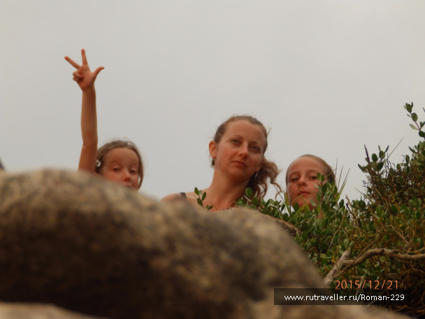 photo 1262538
