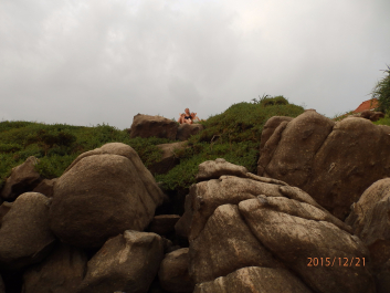 photo 1262540