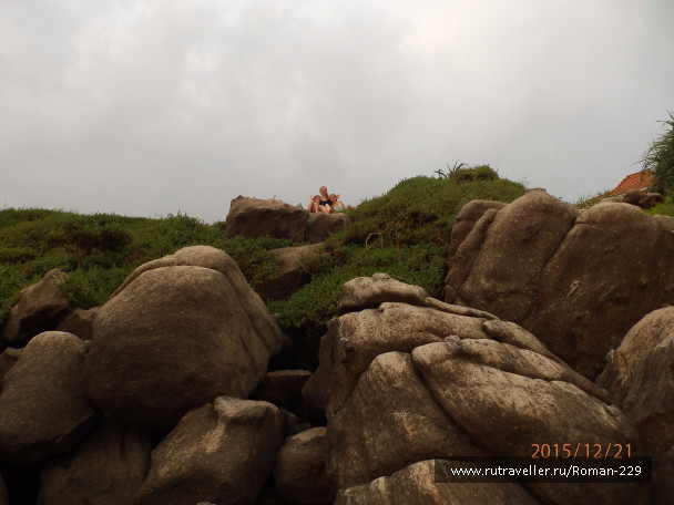 photo 1262540