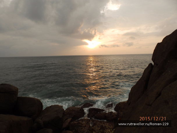 photo 1262544