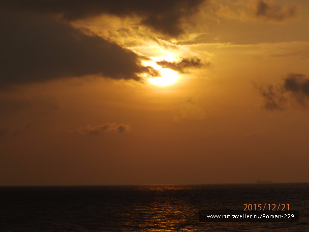 photo 1262545