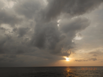 photo 1262546
