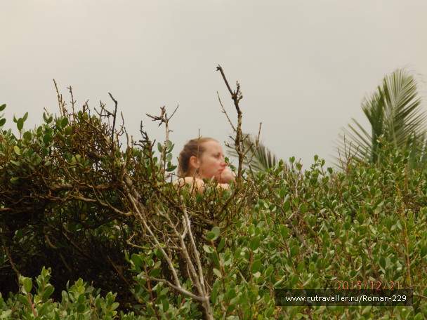 photo 1262562