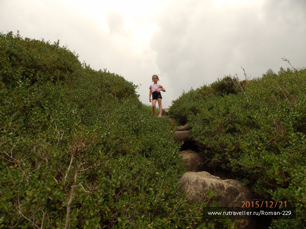 photo 1262564