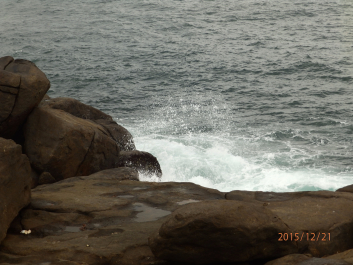photo 1262577