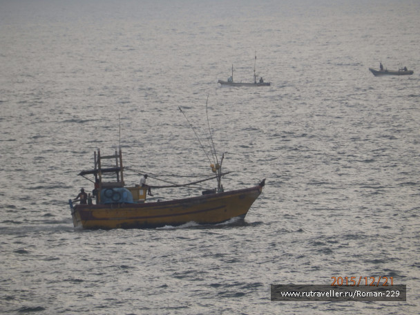 photo 1262580