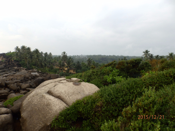 photo 1262582